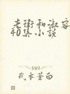 老卫和淑容1-40集小说封面