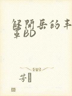 解开岳的丰满奶罩BD