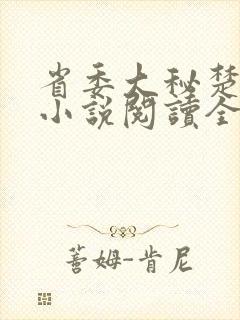 省委大秘楚东恒小说阅读全文封面