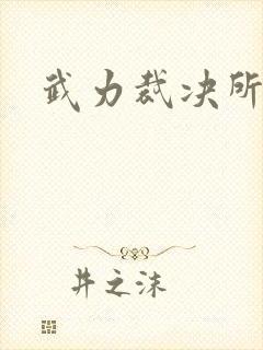 武力裁决所封面