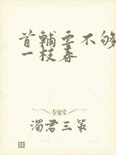 首辅要不够po一枝春封面