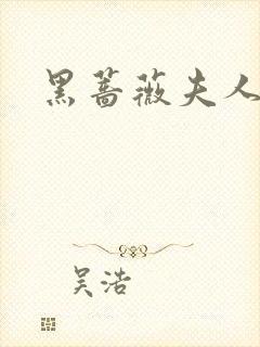 黑蔷薇夫人封面