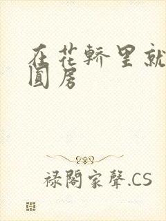 在花轿里就开始圆房