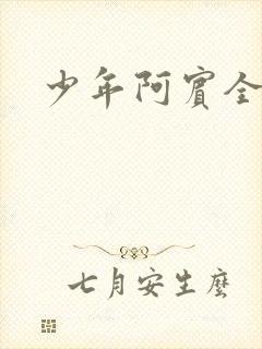 少年阿宾全集封面