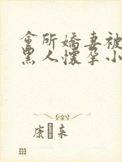 会所娇妻被多个黑人怀孕小说封面