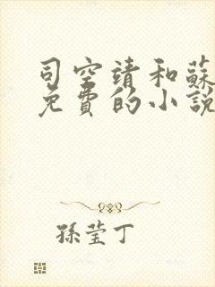 司空靖和苏月汐免费的小说笔趣阁封面