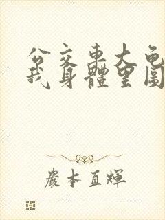 公交车大龟廷进我身体里图封面