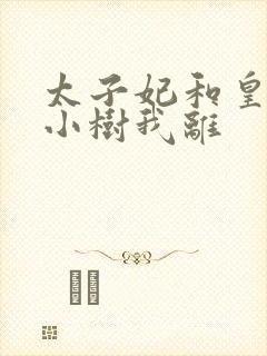 太子妃和皇上在小树我离封面