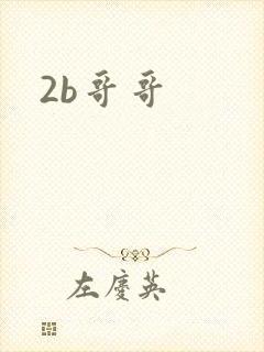 2b哥哥