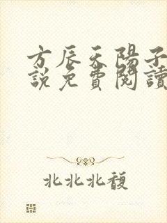 方辰天阳子的小说免费阅读