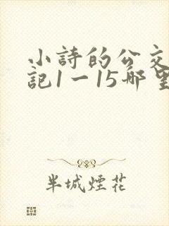 小诗的公交车日记1一15哪里能看