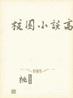 校园小说高h封面