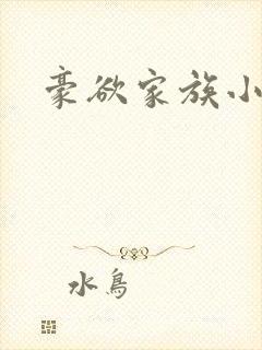 豪欲家族小说封面