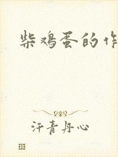 柴鸡蛋的作品