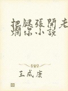 把腿张开老子臊烂你小说封面