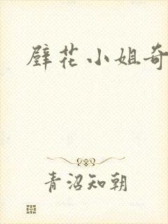 壁花小姐奇遇记