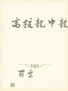 高校龙中龙封面