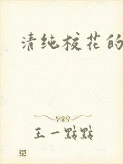 清纯校花的被封面