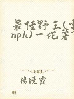 最佳野王(电竞nph)一坨薯饼