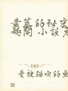 黄蓉的秘密 笔趣阁 小说免费阅读下载封面