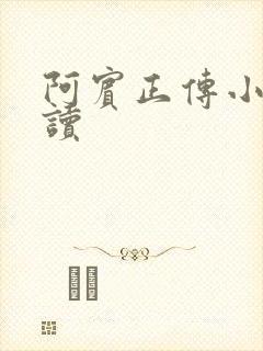 阿宾正传小说在读