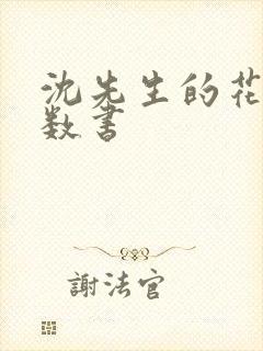 沈先生的花式调数书