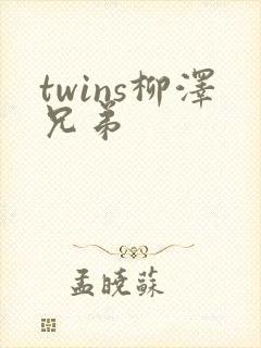 twins柳泽兄弟