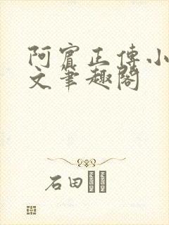 阿宾正传小说全文笔趣阁