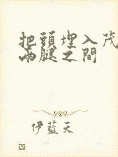 把头埋入茂密的两腿之间封面