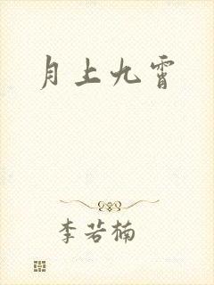 月上九霄封面