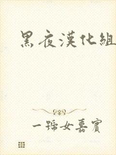 黑夜汉化组