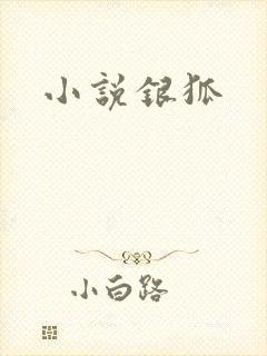 小说银狐