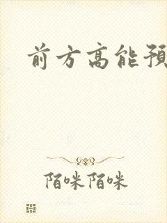 前方高能预警封面