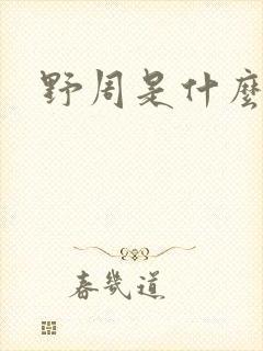 野周是什么意思