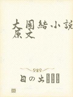 大团结小说阅读原文封面