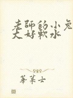 老师的小兔子好大好软水