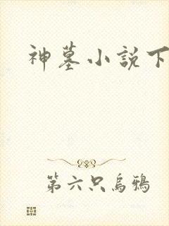 神墓小说下载封面