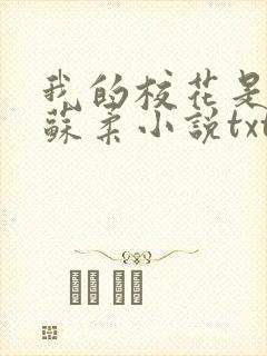 我的校花是福姬苏柔小说txt