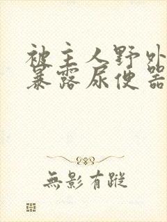 被主人野外调教暴露尿便器