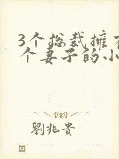 3个总裁拥有一个妻子的小说