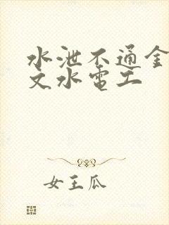 水泄不通金银原文水电工