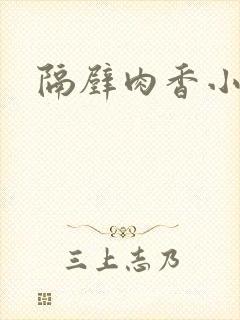 隔壁肉香小说