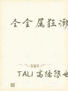 全金属狂潮小说封面
