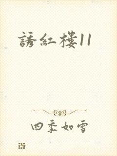 诱红楼11封面