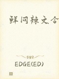 鲜网辣文合集