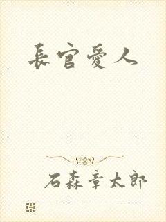 长官爱人封面