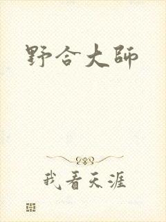 野合大师封面
