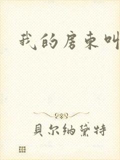 我的房东叫别扭封面