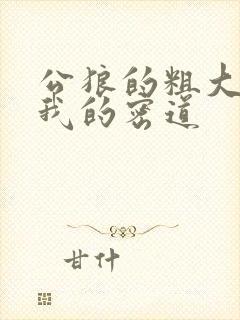 公狼的粗大挺进我的密道