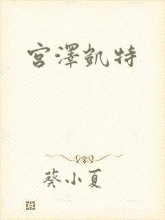 宫泽凯特封面